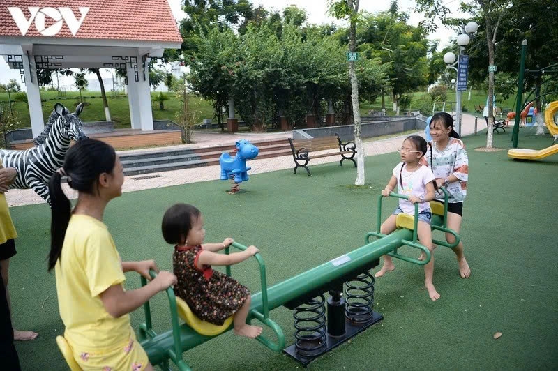 hoan thien du an luat nuoi con nuoi sua doi hinh anh 1