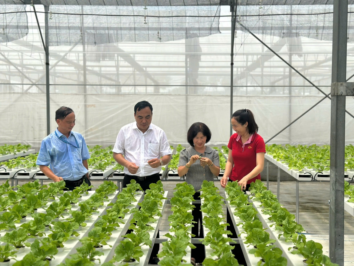 ho chi minh city promotes high-tech agricultural value chain links with rok picture 1
