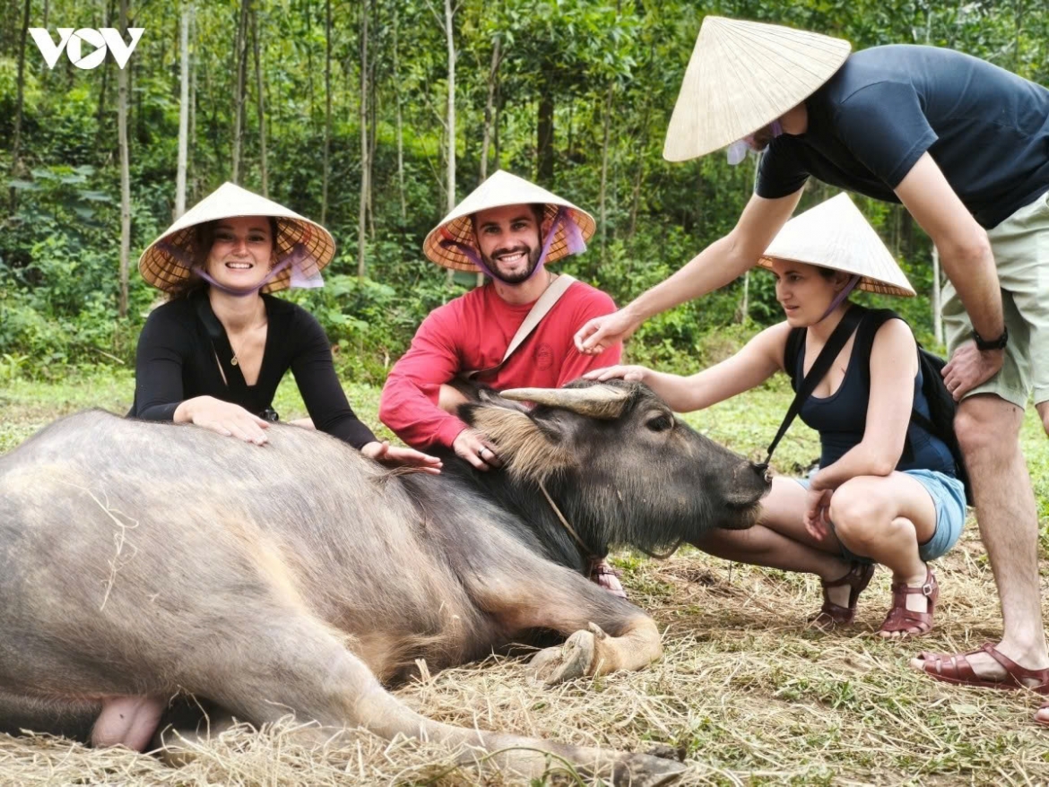 european visitor surge boosts vietnam s tourism growth in first 7 months picture 1