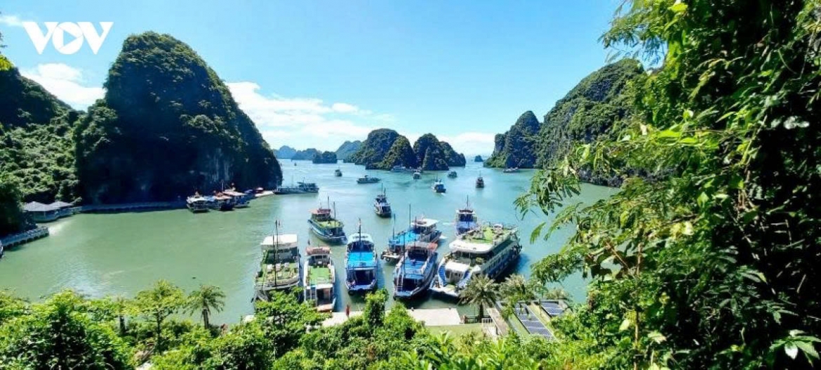 moi dia diem se co ma dinh danh 12 chu so hien thi tren vneid hinh anh 1