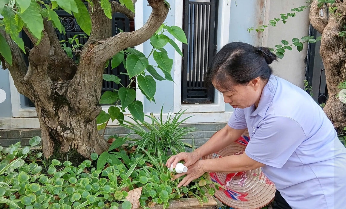 sot xuat huyet gia tang, canh giac soc va ton thuong da co quan hinh anh 4