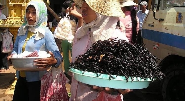 vi sao nguoi campuchia an nhen den nhu mon an vat hinh anh 4