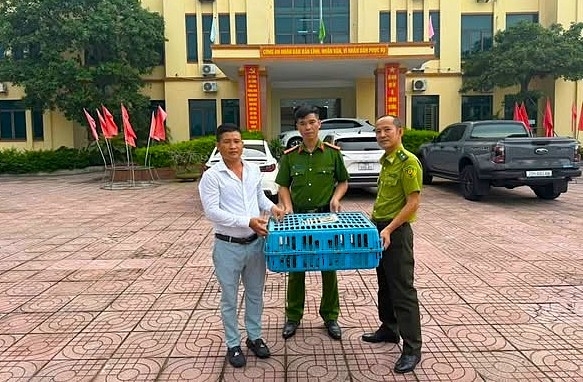 nguoi dan tu nguyen giao nop ca the ky tom quy hiem cho cong an hinh anh 1