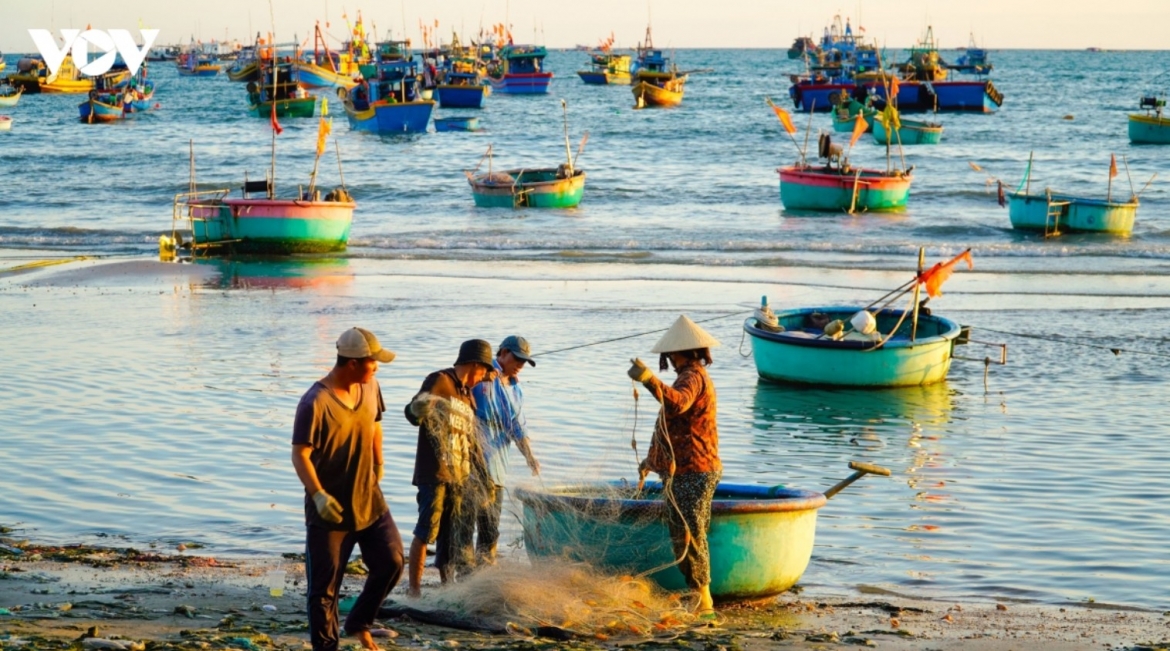 viet nam huong toi quoc gia bien manh kinh te bien phai gan voi bao ve chu quyen hinh anh 3