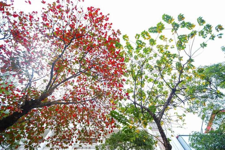Dung tuong lap thu la het nong, phai den tiet xu thu moi that su mat me hinh anh 2