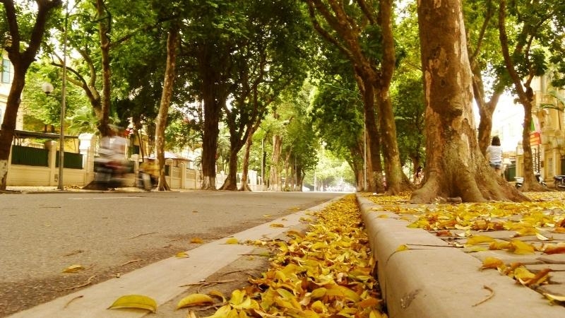 hom nay vao tiet lap thu 2026 thoi tiet se thay doi ra sao hinh anh 1