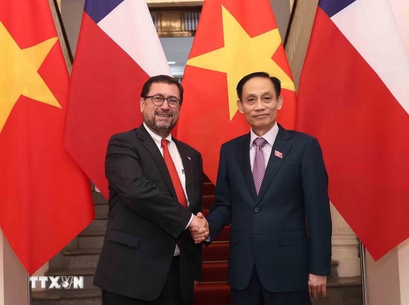 bo truong ngoai giao le hoai trung hoi dam voi bo truong ngoai giao chile hinh anh 1