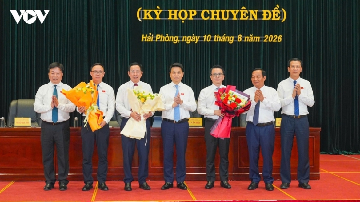 hai phong, Dong nai co them pho chu tich ubnd thanh pho hinh anh 1