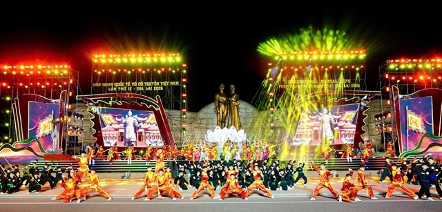 ninth int l festival of vietnamese traditional martial arts opens in gia lai picture 1