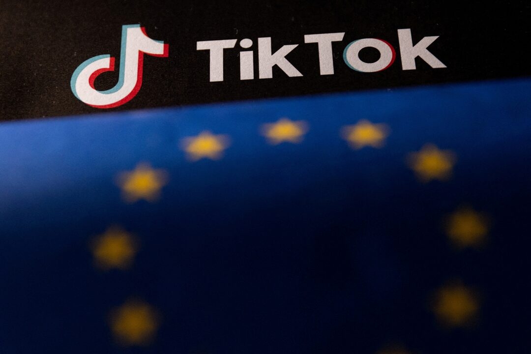 eu yeu cau meta va tiktok that chat kiem soat thong tin sai lech hinh anh 1