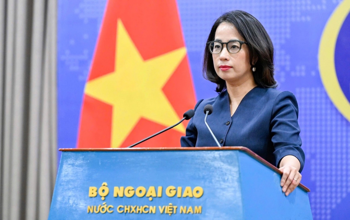 viet nam kien quyet phan doi moi hoat dong cua nuoc ngoai o da hai sam, dao ba ba hinh anh 1
