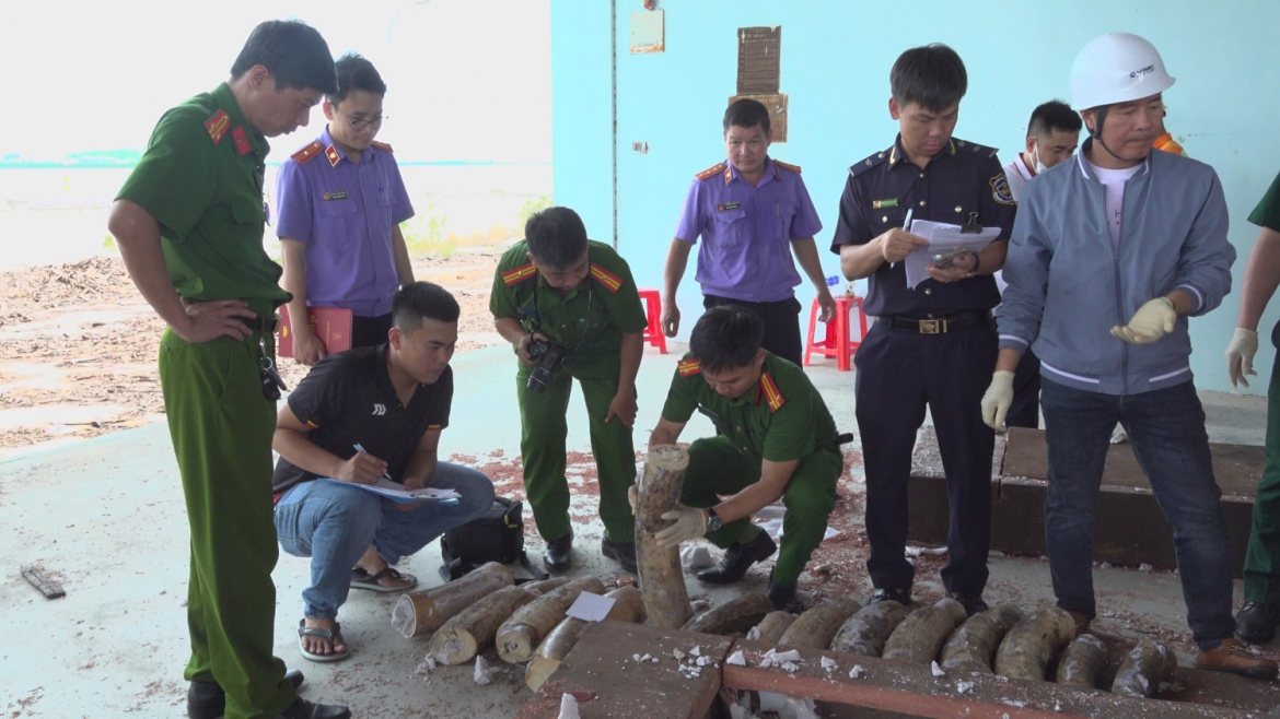 phat hien hon 1,1 tan nga voi giau tinh vi trong 3 container go tai cang quy nhon hinh anh 1