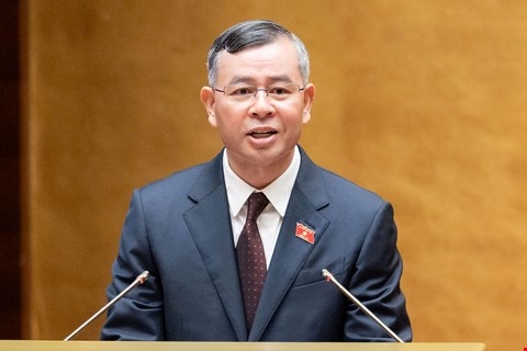 De xuat bo dieu kien voi dai ly lam thu tuc hai quan hinh anh 1