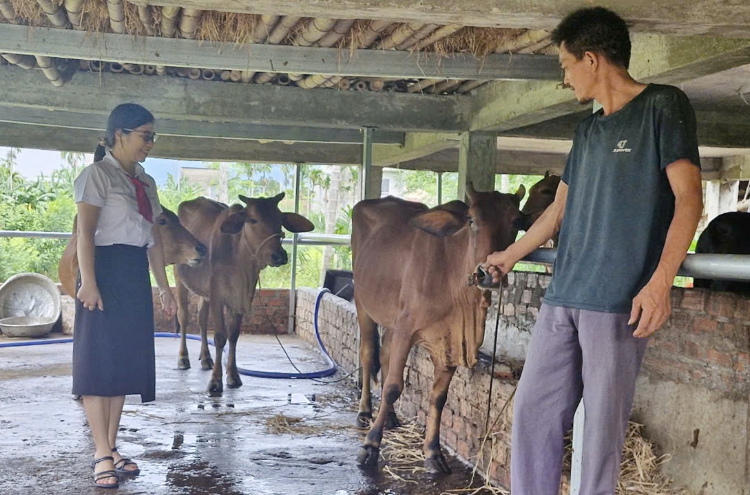 Da nang nong dan o Dai loc vuon len thoat ngheo nho nguon von agribank hinh anh 1
