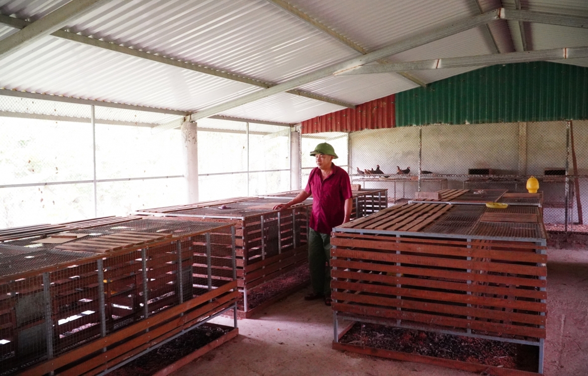 agribank bac quang binh ho tro von tam nong giup nguoi dan mien nui lam giau hinh anh 3
