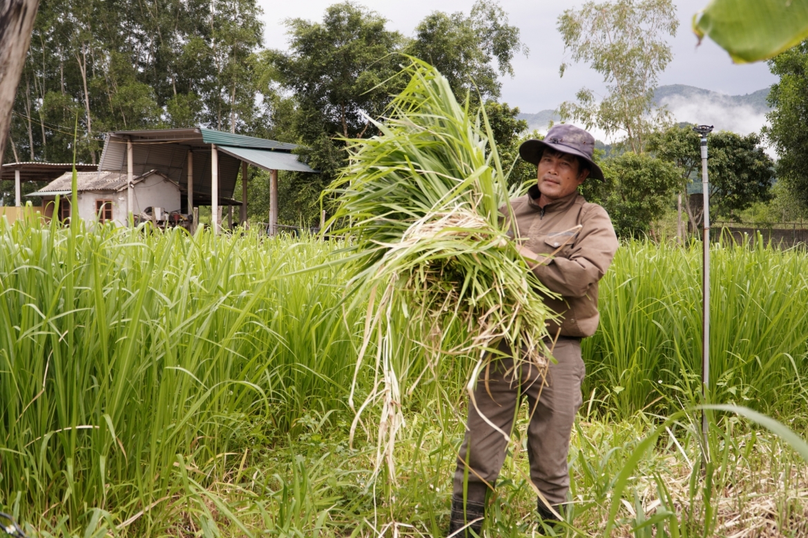 agribank bac quang binh ho tro von tam nong giup nguoi dan mien nui lam giau hinh anh 2
