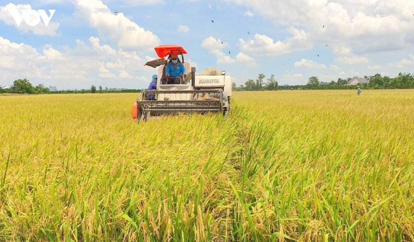 four decades of doi moi propel vietnam to us 70 billion in farm exports picture 1