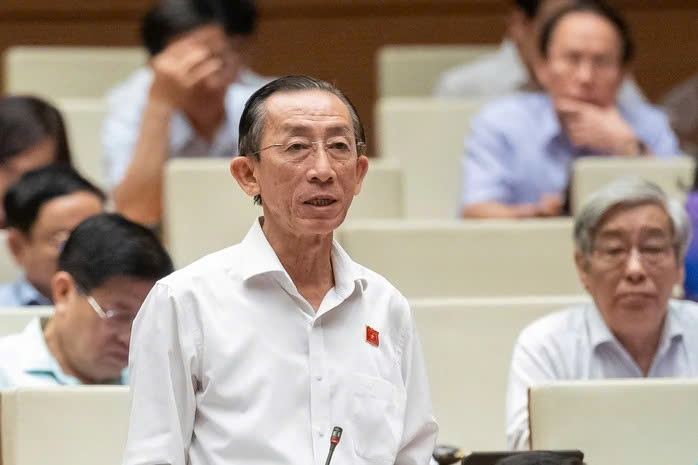 Dai bieu tran hoang ngan can trao them dong luc cho cac do thi lon hinh anh 2