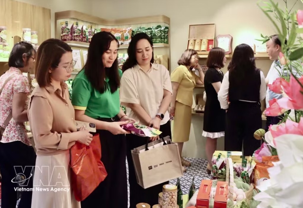 domestic consumption, tourism fuel vietnam s economic growth in seven months picture 1