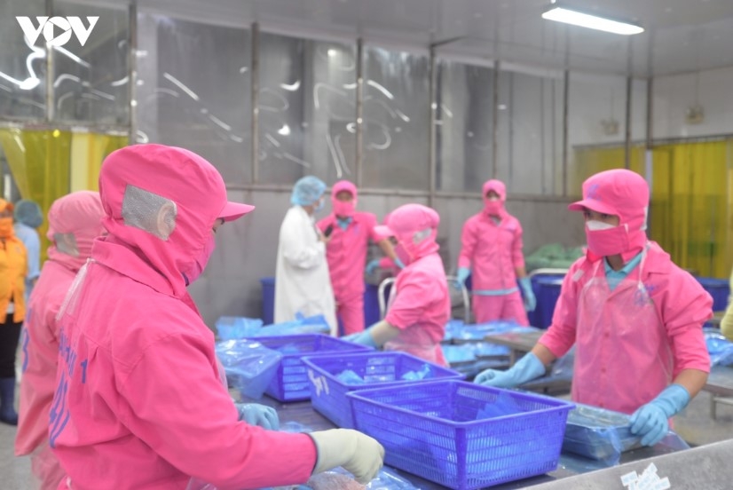 vietnamese exporters strengthen resilience against trade barriers picture 1