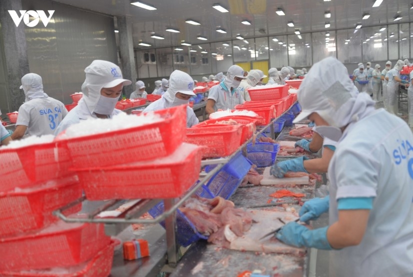 vietnamese exporters strengthen resilience against trade barriers picture 2