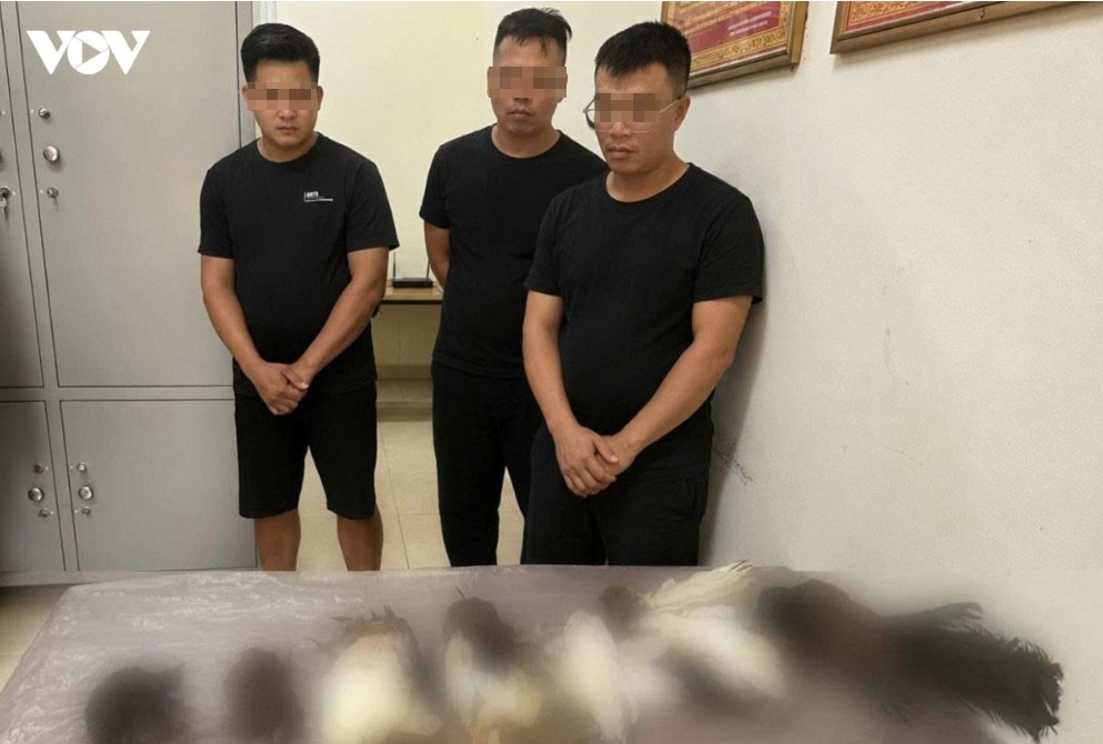 Dieu tra nhom 3 doi tuong su dung sung tu che san ban chim trai phep o lao cai hinh anh 1