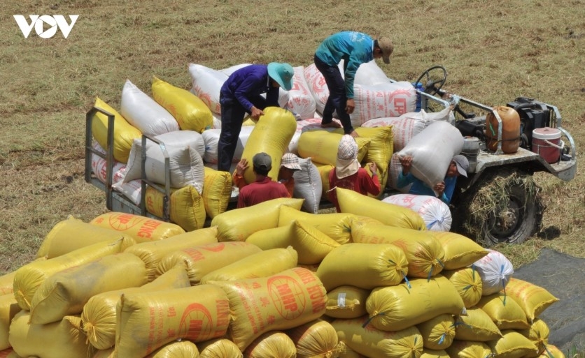 exporters build raw material shields amid rising global trade remedies picture 1