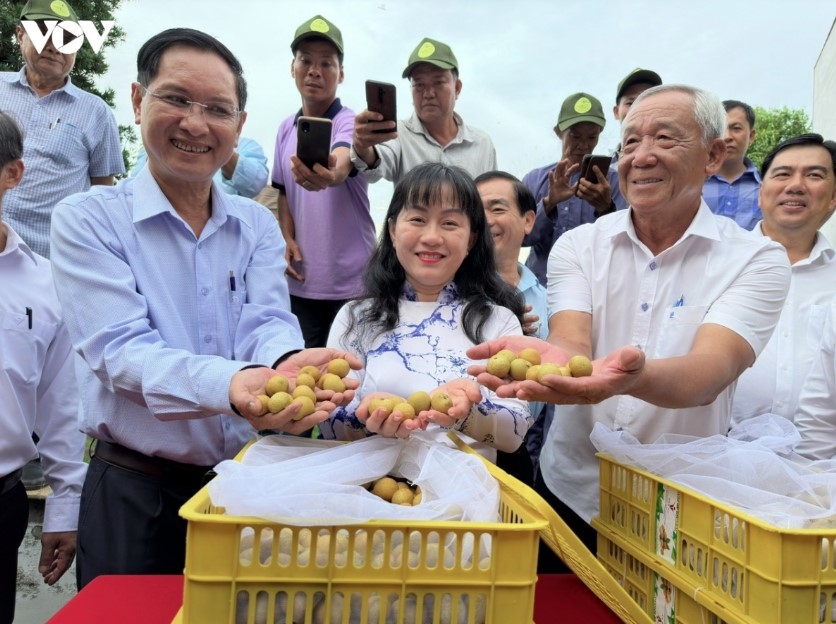 exporters build raw material shields amid rising global trade remedies picture 2