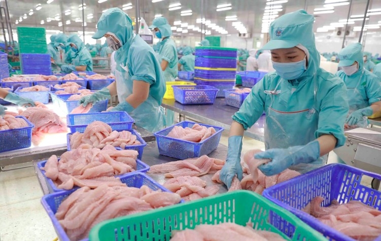 us raises anti-dumping duties on vietnamese pangasius in por21 final ruling picture 1