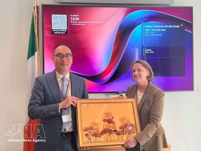 vietnam, ireland audit bodies seek stronger cooperation, exchange of expertise picture 1
