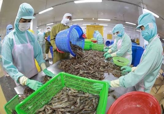 fishery exports maintain growth momentum despite mounting headwinds picture 1