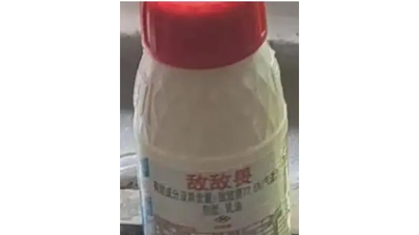 trung quoc bat 6 nguoi vi nghi dung thuoc tru sau doc hai khu trung nha hang hinh anh 1
