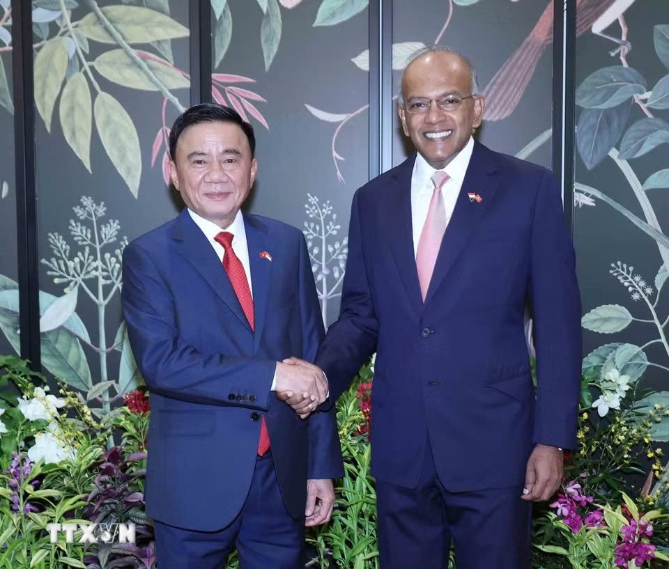 thuc day hop tac singapore - viet nam ve phong chong toi pham xuyen bien gioi hinh anh 1