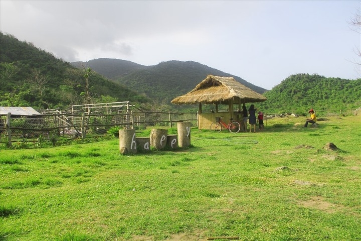 mua dat trang trai can luu y gi de tranh rui ro hinh anh 1