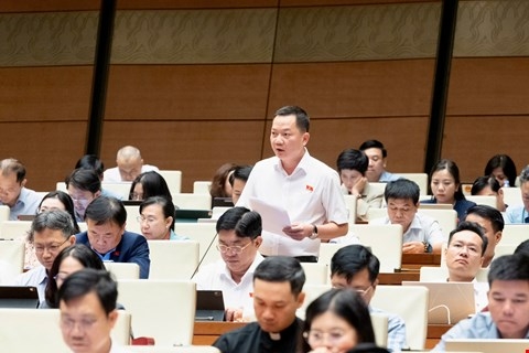 kinh doanh kim cuong can duoc bo sung vao nganh nghe kinh doanh co dieu kien hinh anh 1