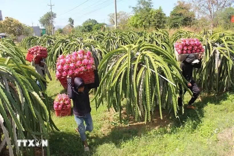 vietnam, uk advance strategic cooperation in agriculture, environment picture 1