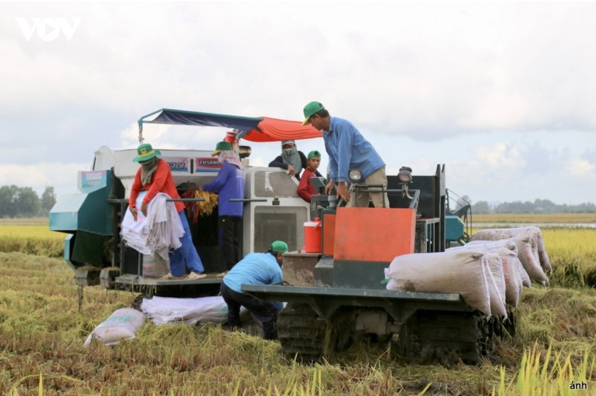 four decades of doi moi propel vietnam to us 70 billion in farm exports picture 2