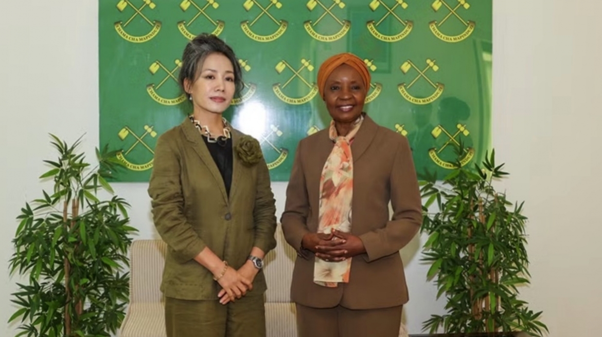 cultural diplomacy expands vietnam-tanzania cooperation space picture 1