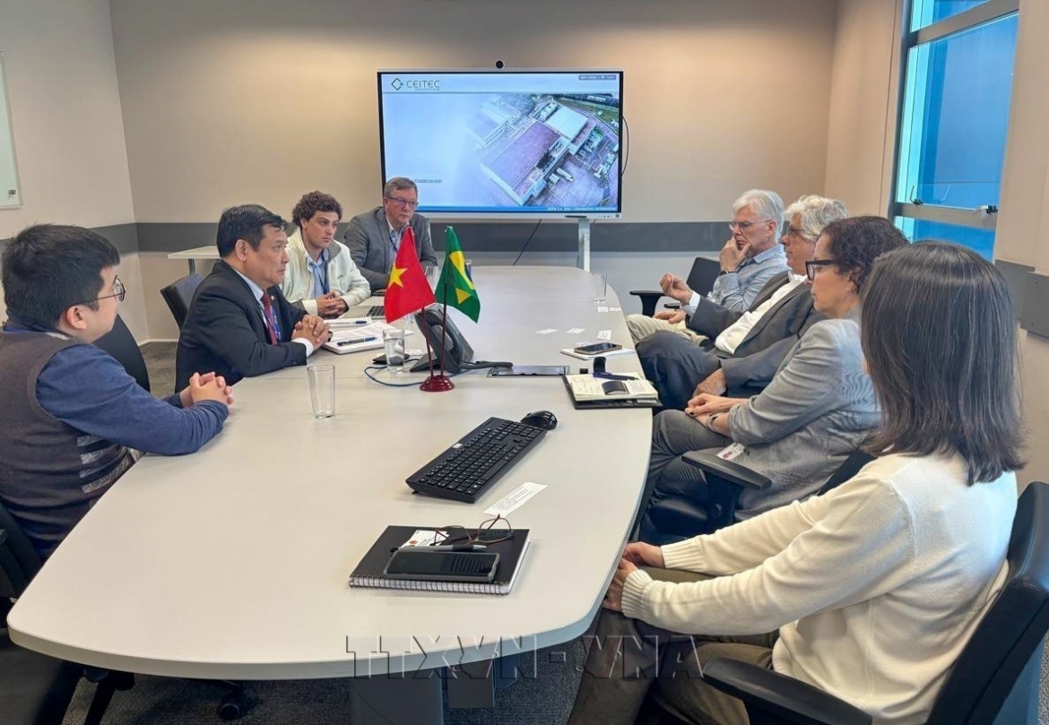 vietnam, brazil expand cooperation in semiconductors and digital transformation picture 1