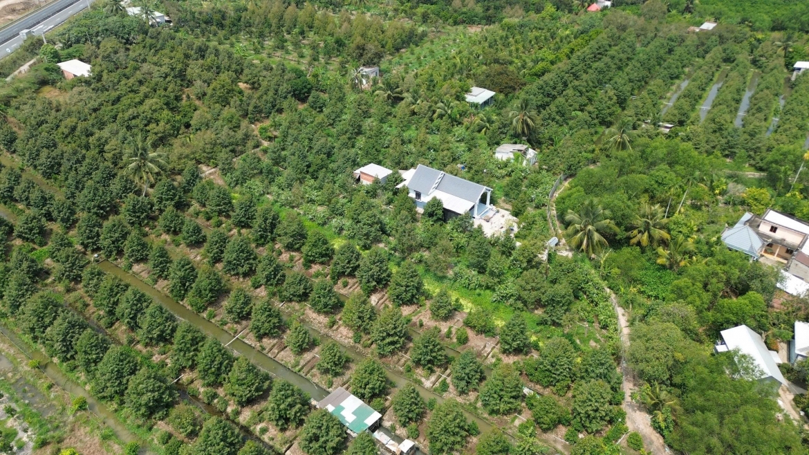 Dong thap phat huy loi the vung cay an trai sau sap nhap hinh anh 1