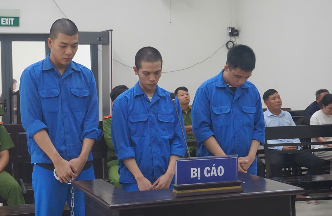 tra ho so yeu cau dieu tra bo sung vu shipper tu vong sau khi bi danh tai Da nang hinh anh 2