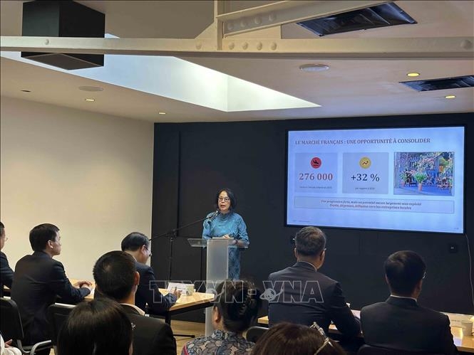 hanoi connects with french enterprises to boost trade, tourism picture 1