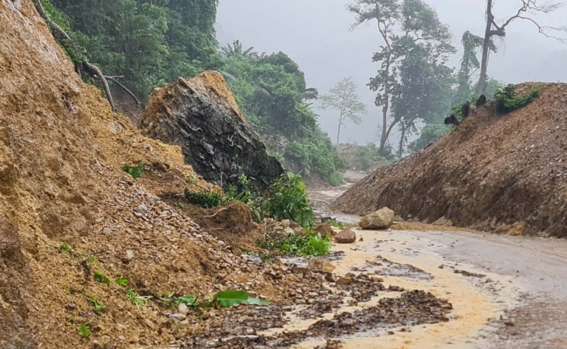 mua lon tai quang tri, tang da nang hang tan roi xuong duong hinh anh 1