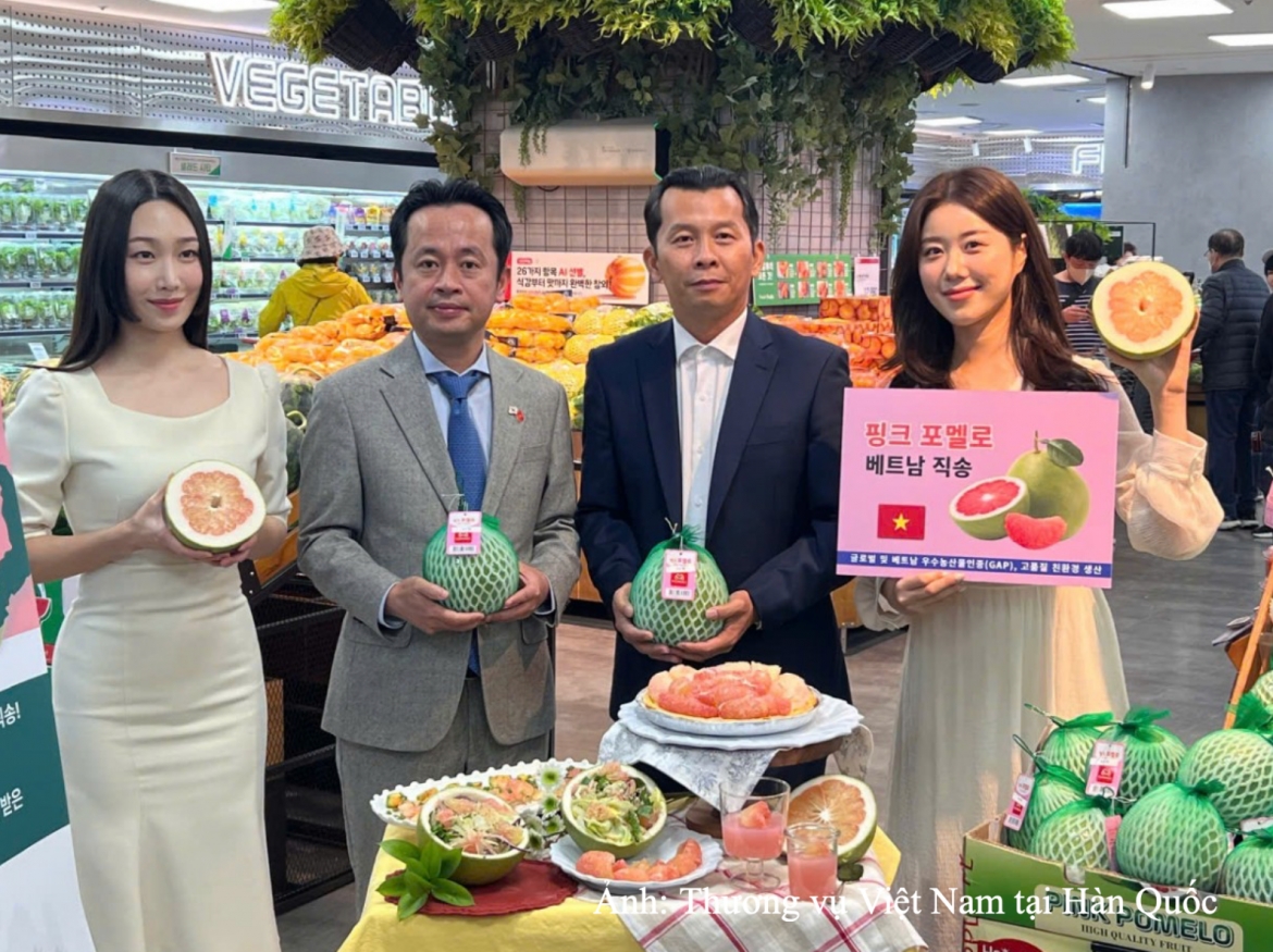 viet nam - han quoc huong toi muc tieu thuong mai 150 ty usd vao nam 2030 hinh anh 1