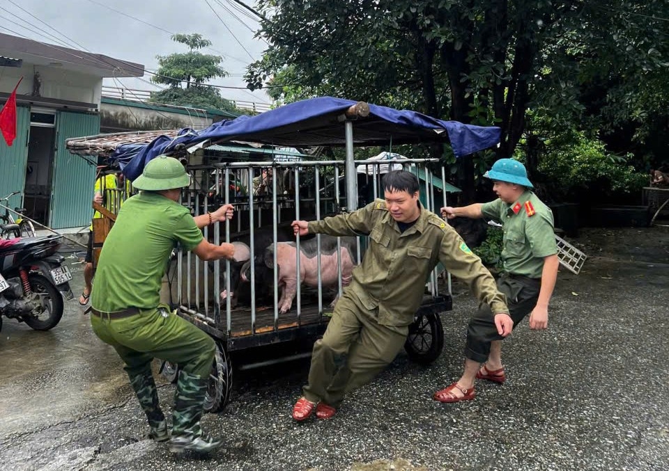 can bo, chien si cong an giup dan vung ngap o ninh binh di chuyen tai san hinh anh 9