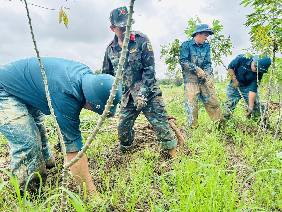 cac luc luong giup dan gat lua, nho mi chay lu hinh anh 3