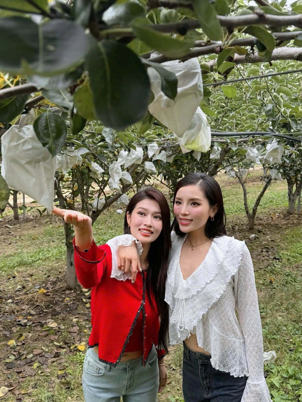 sao viet 12-9 anh Duc - anh pham ky niem hai nam ngay cuoi hinh anh 8
