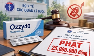 ke khai sai gia thuoc, cong ty duoc pham Dat vi phu bi phat 25 trieu dong hinh anh 1