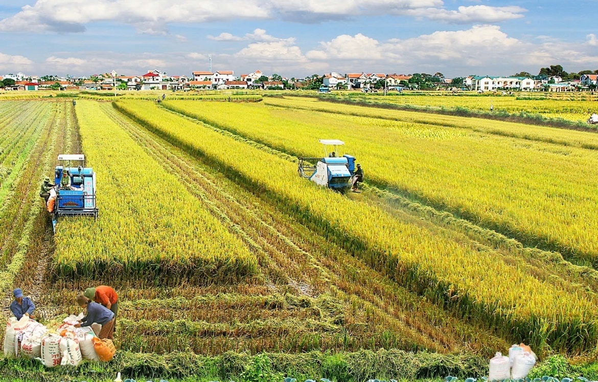 agricultural sector targets us 18 billion in q4 exports picture 1