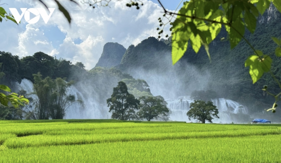 the times reveals 11 most beautiful places to visit in vietnam picture 11